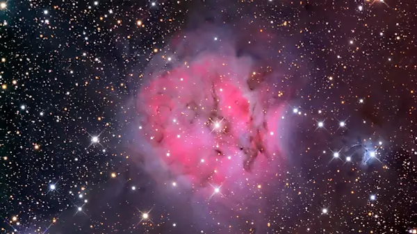 Cocoon Nebula